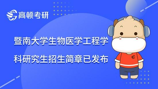 高顿考研
