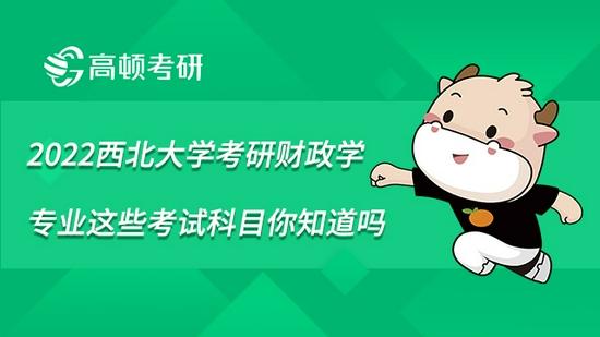 高顿考研