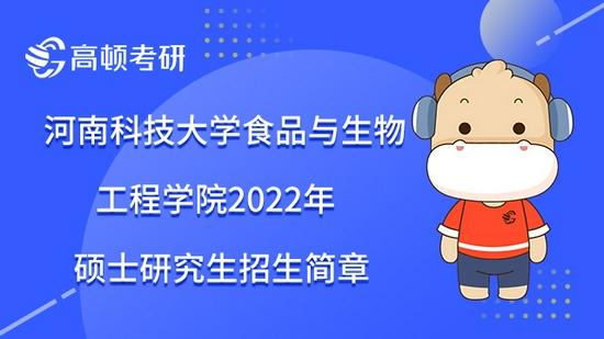 高顿考研
