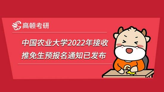 高顿考研