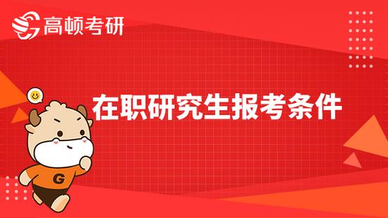 高顿考研