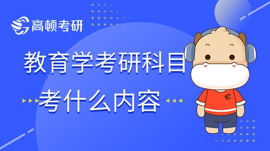 高顿考研