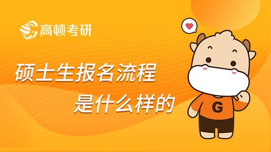 高顿考研