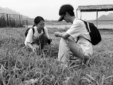 大学生在平谷田间地头学农。摄影 崔东亮