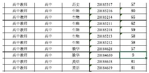部分进入面试名单的应聘者笔试成绩。新化县官网文件截图