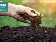 BBC英语小测验：和 “园艺” 有关的词汇