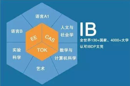 图片来自网络
