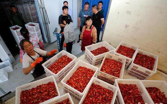 农民在搬运初加工的小龙虾产品 沈果 摄