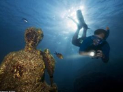 教育部发布2017学科评估结果：0601考古学