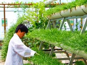 教育部发布2017学科评估结果：1203农林经济管理