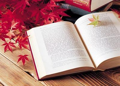 图片来源于网络 图文无关