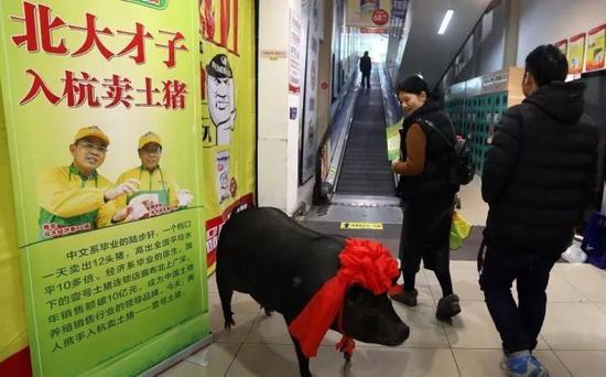 (北大中文系毕业的陆步轩、经济系毕业的陈生)