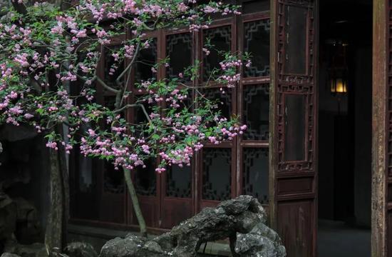 小红书@酱油醋533807696