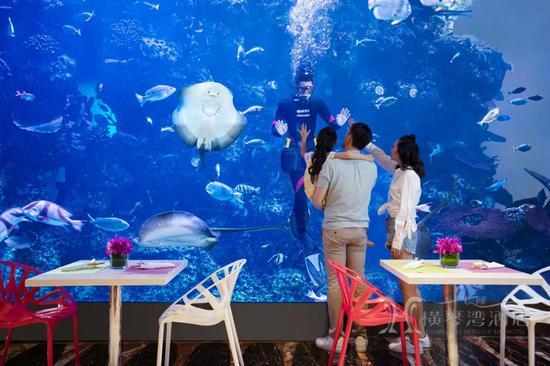 海豚自助餐厅,和海洋生物近距离接触