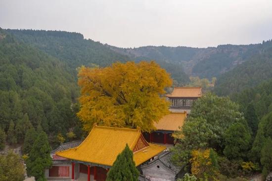 @图虫创意