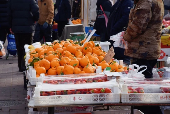 小飞君实拍@晨星