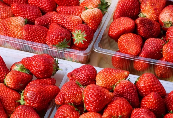 小飞君实拍@晨星