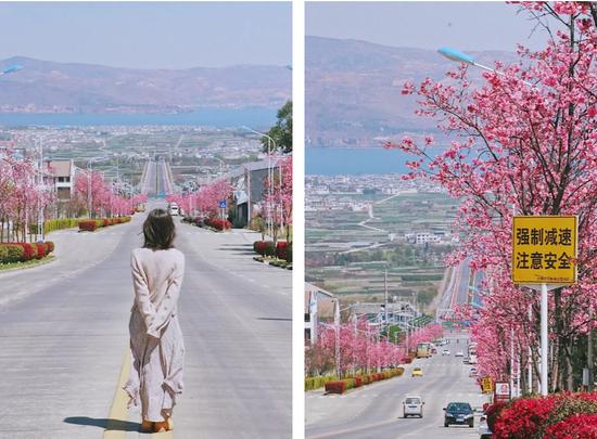 @田田