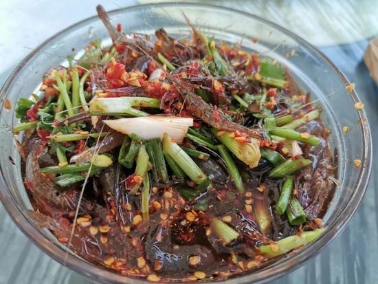 @图虫创意
