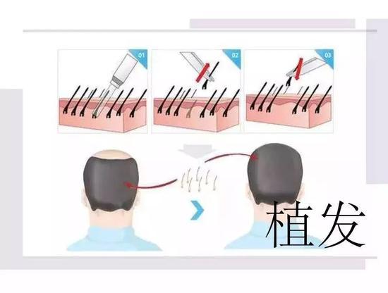 图源网络