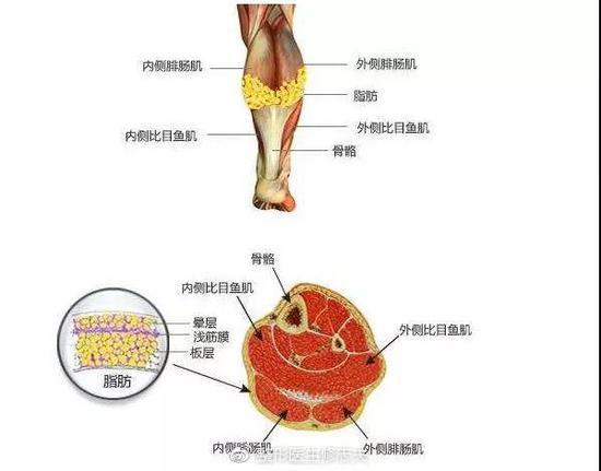 避免发胖