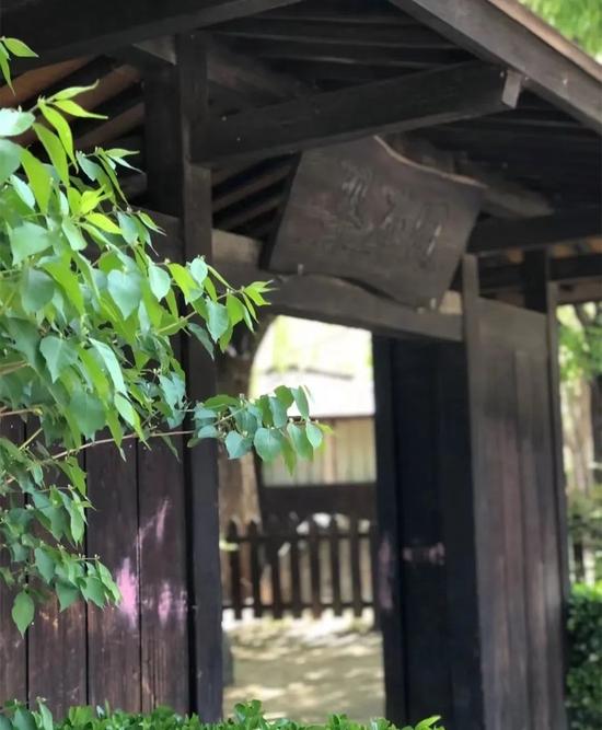 图源:月亮的味道