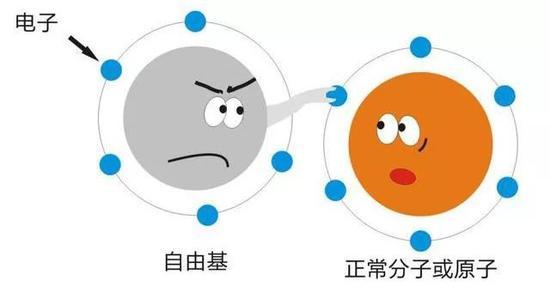 cr:网络