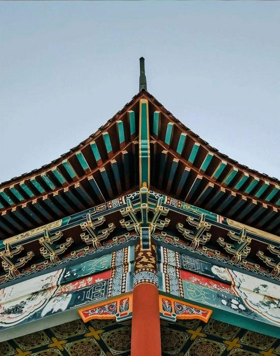 ▲“基建狂魔”的基因也许早就刻在我们DNA里了