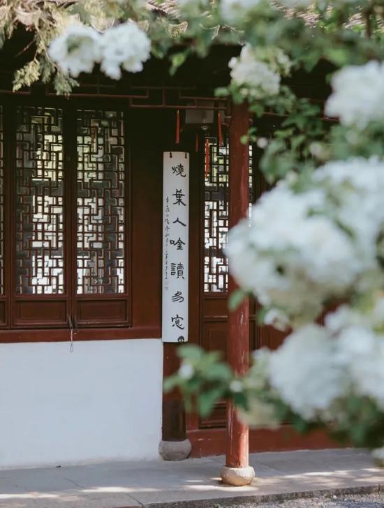小红书@酱油醋533807696