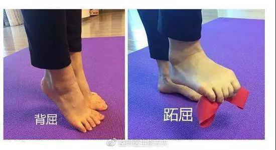 腓肠肌作用