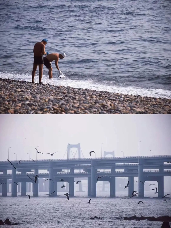 小飞君实拍@晨星