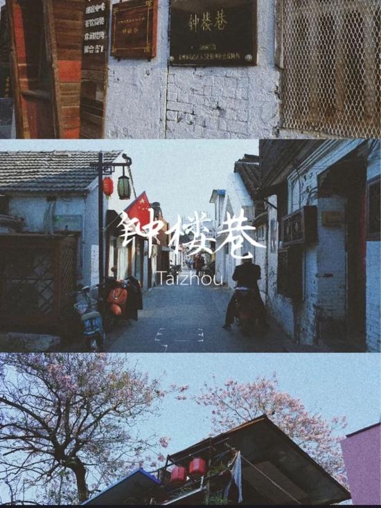 @炸糊小白