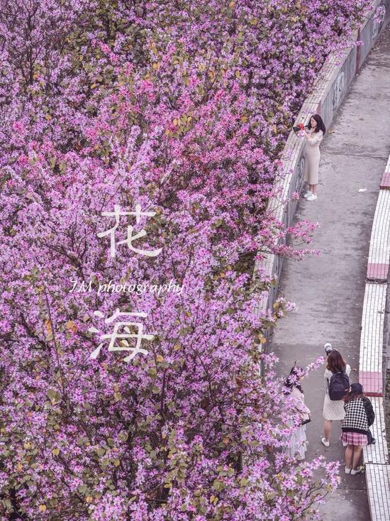 小红书@拿刀干活的