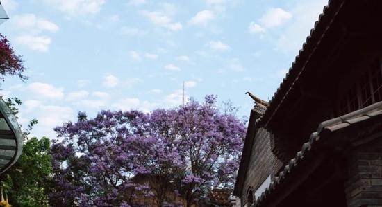 @图虫创意