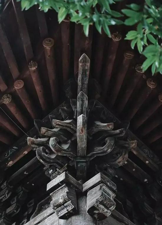 图片来源网络
