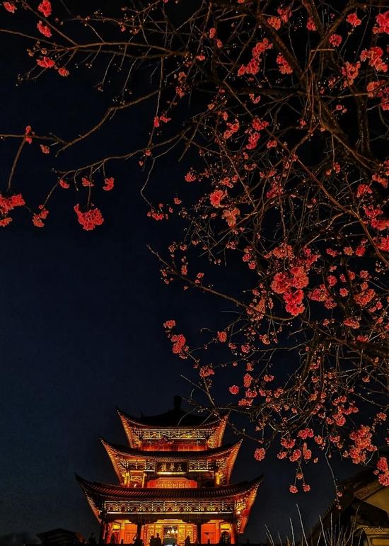 @图虫创意