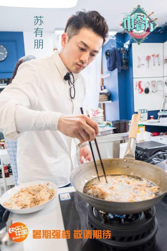 苏有朋