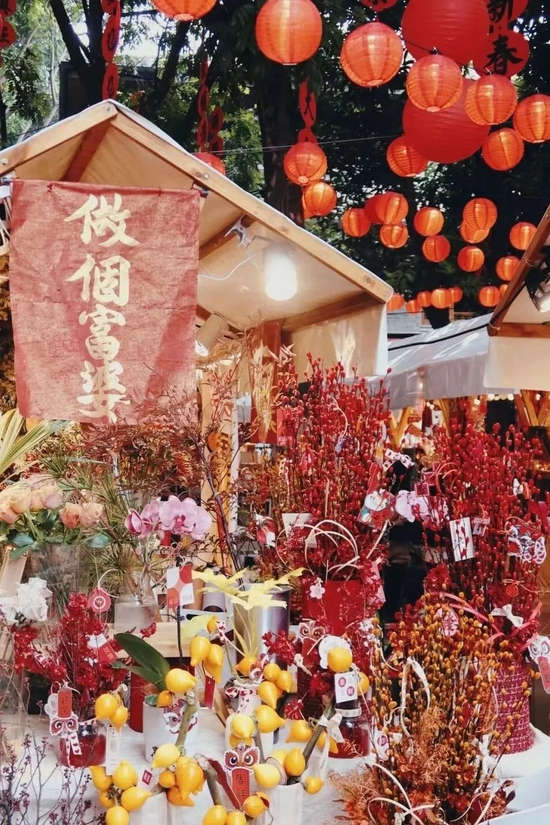 小红书@冯卷卷