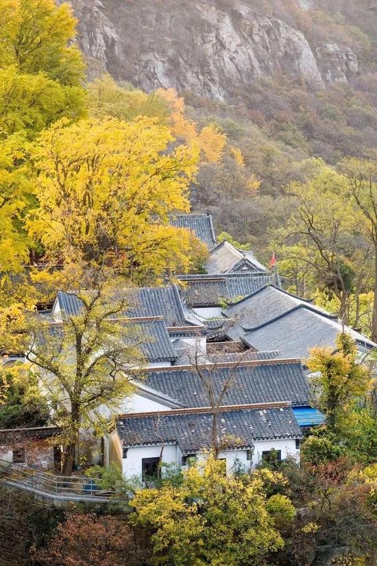 @图虫创意
