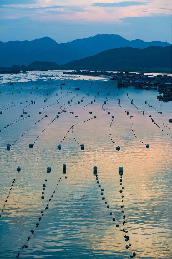 栖霞之滨,流光溢彩之所