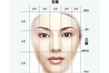 三庭五眼