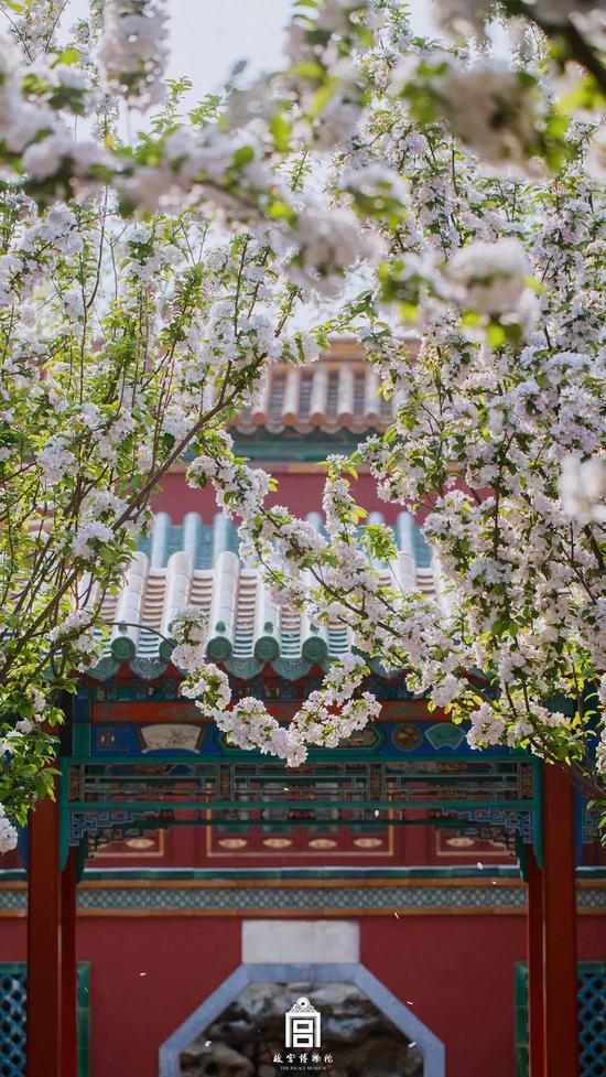 @故宫博物院