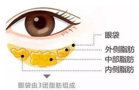 构成