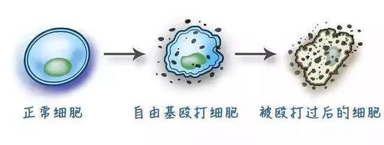 cr:网络