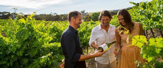 图片来源:Bay Tours and Charters Hawke‘s Bay