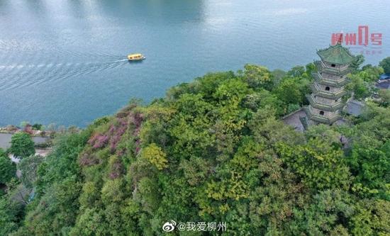 @我爱柳州