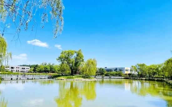 图源:旅游女