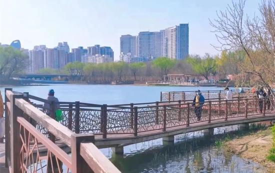 图源:温柔桃桃