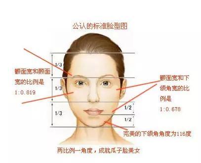 轮廓