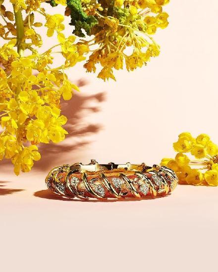 18K黄金镶嵌玫瑰色珐琅及钻石手镯; 均来自Tiffany & Co. 蒂芙尼 2022 Blue Book 高级珠宝系列 BOTANICA之Jean Schlumberger篇章